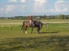 dscn0556