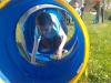 dscn0401